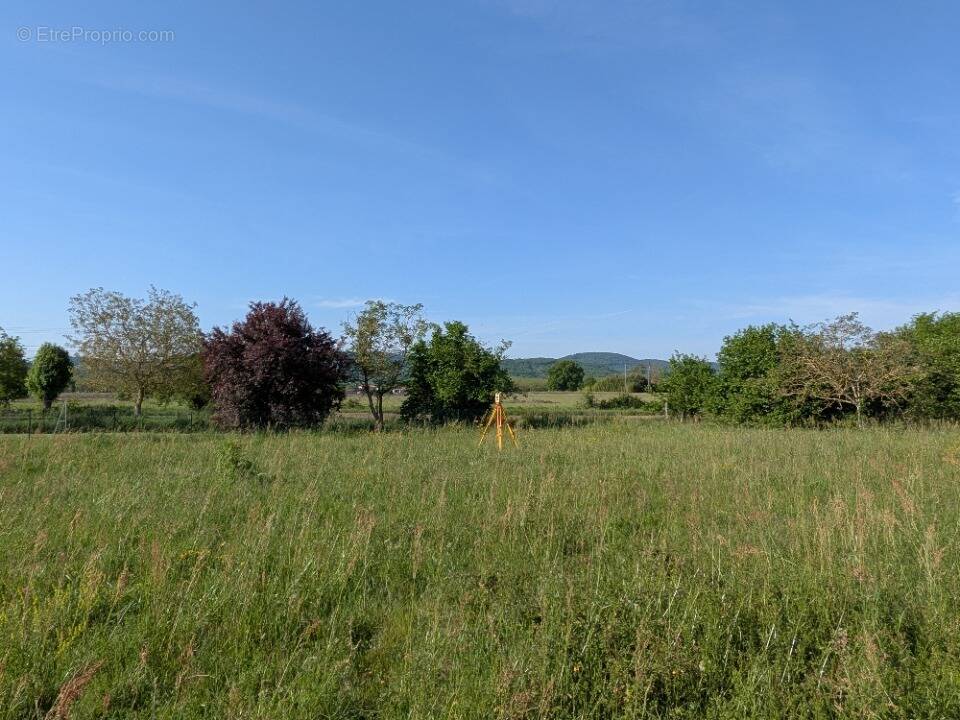 Terrain 1851 m² à Palaminy  - photo 1