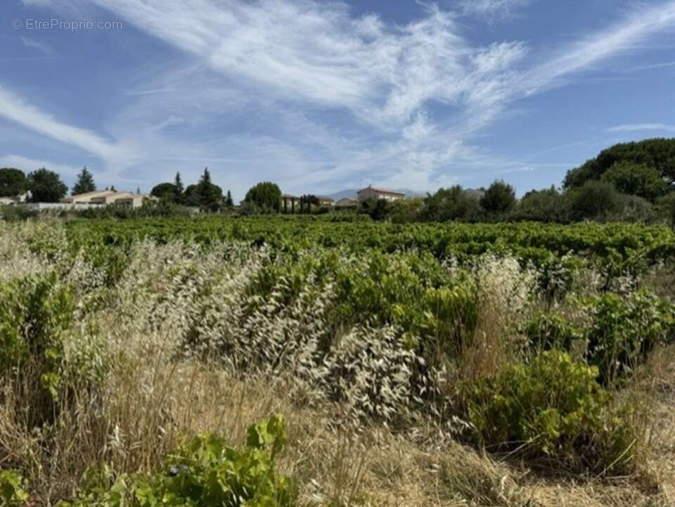 Terrain à MAZAN