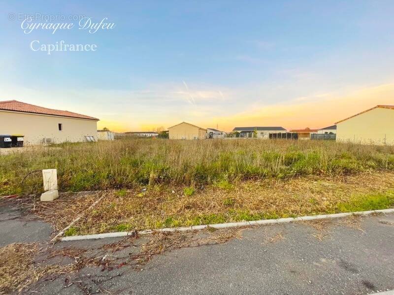 Terrain à MONTAUBAN