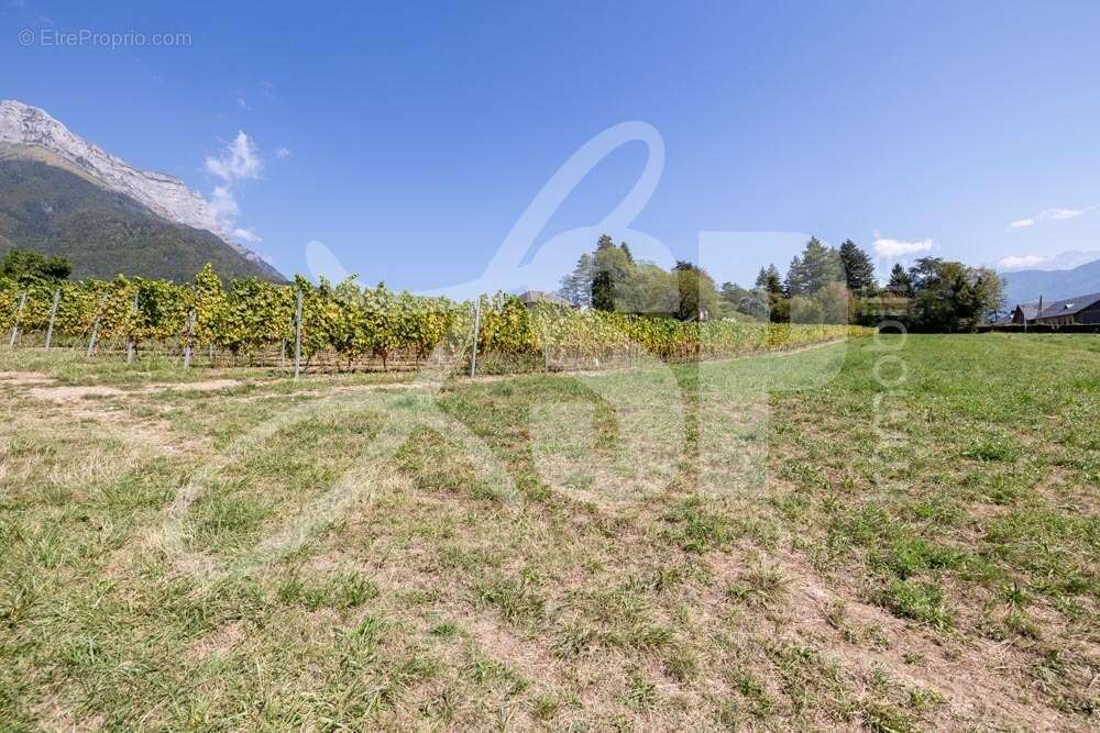 Terrain viabilisé (Lot 8) - Terrain à SAINT-PIERRE-D&#039;ALBIGNY