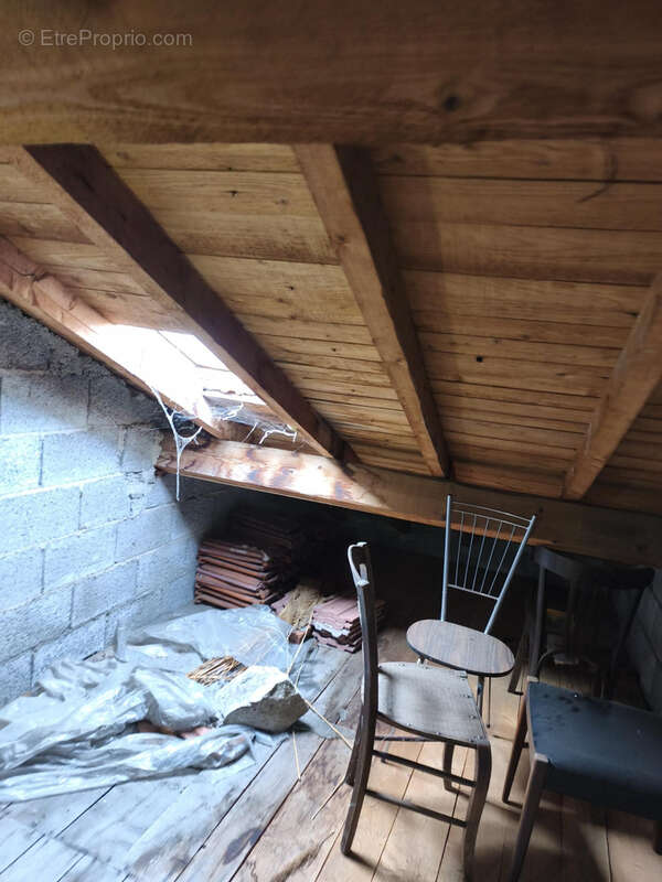 Appartement à JONZIEUX