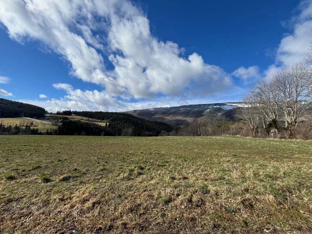 Terrain à SAINT-NIZIER-DU-MOUCHEROTTE