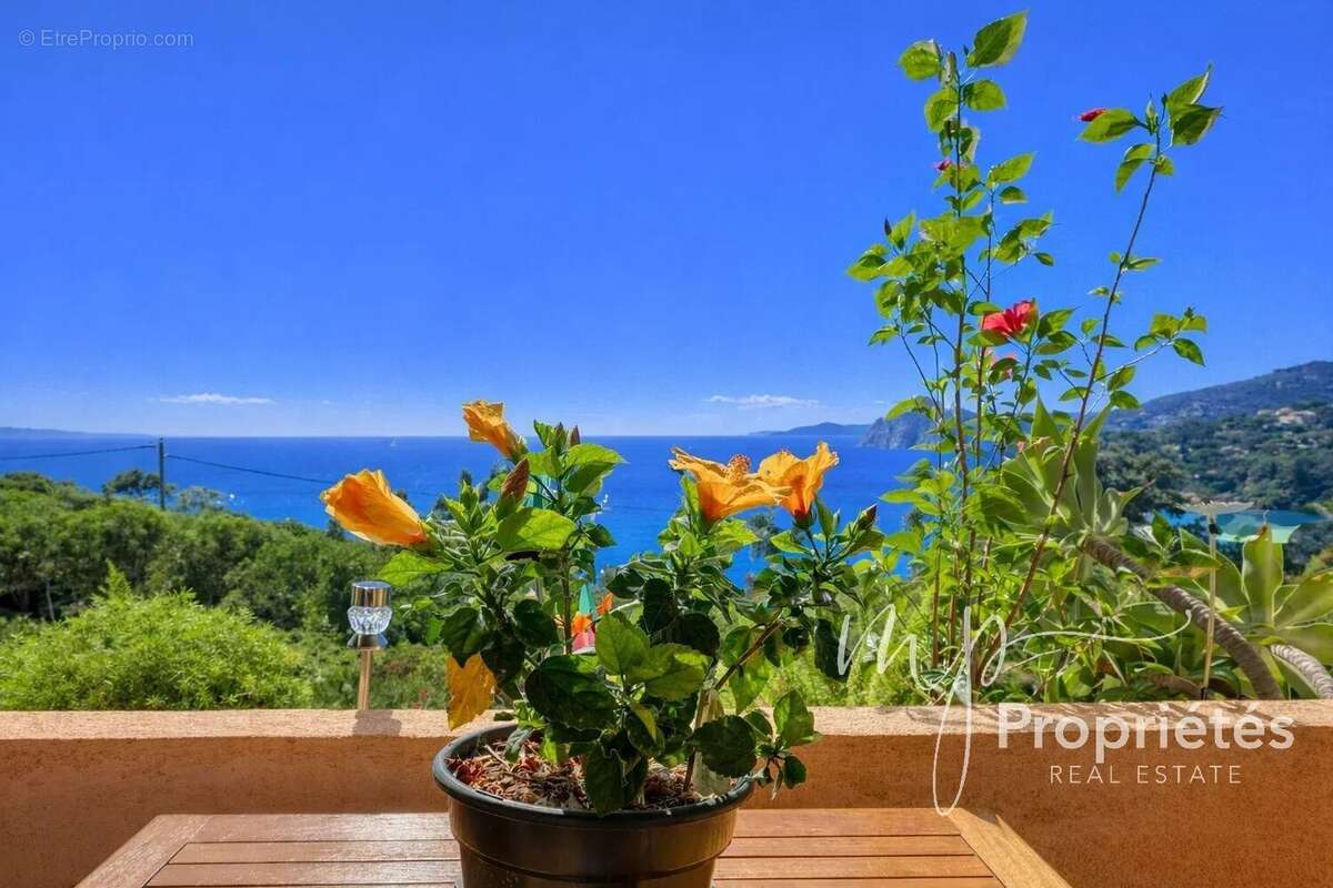 Appartement à RAYOL-CANADEL-SUR-MER