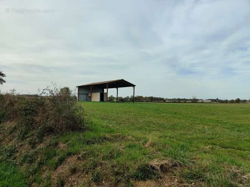 Maison à CASTELNAU-MAGNOAC