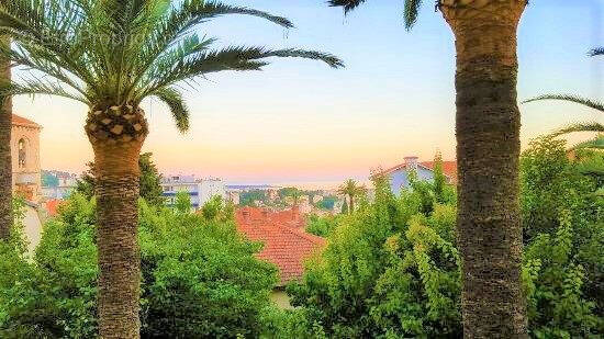 Commerce à LE CANNET