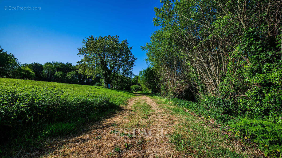 Terrain à FOUESNANT