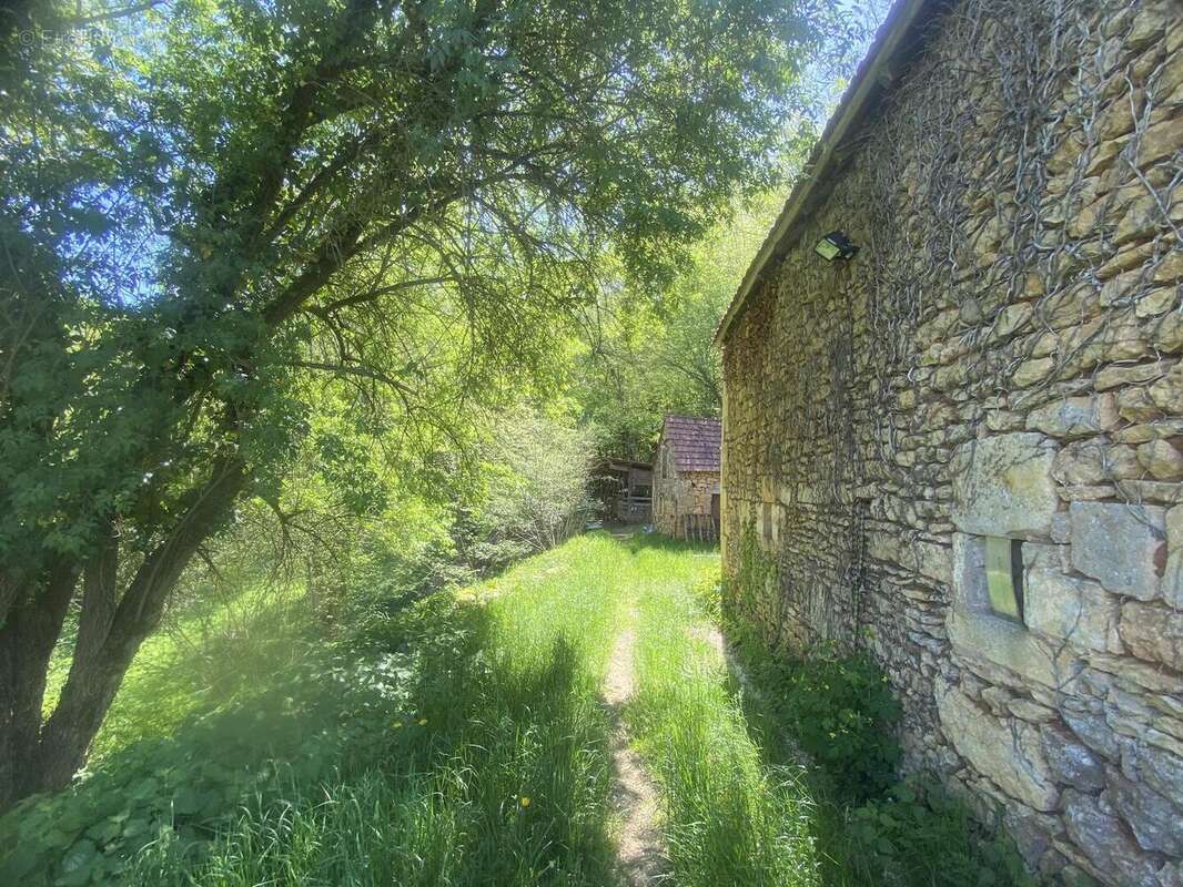 IMG6751 - Maison à LES EYZIES-DE-TAYAC-SIREUIL