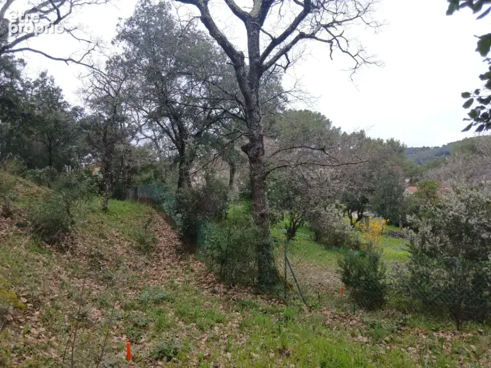 Terrain 609 m² à vendre à Carnoules (83660) - photo 2