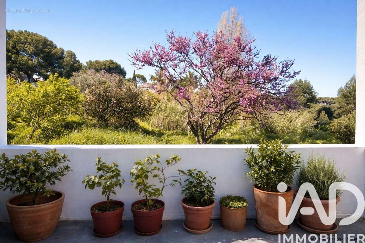 Photo 2 - Maison à LA CIOTAT