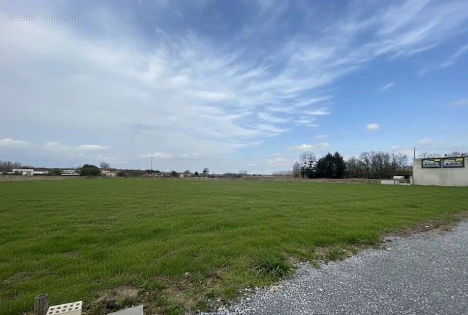 Terrain à LENCLOITRE