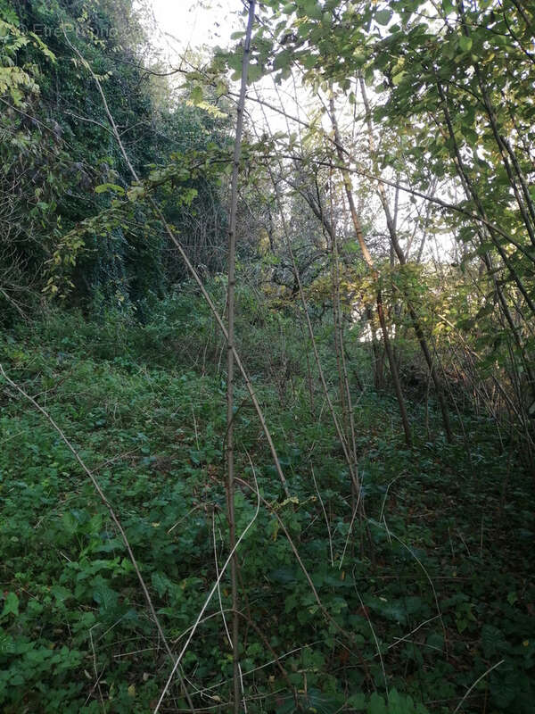Maison à AUBETERRE-SUR-DRONNE