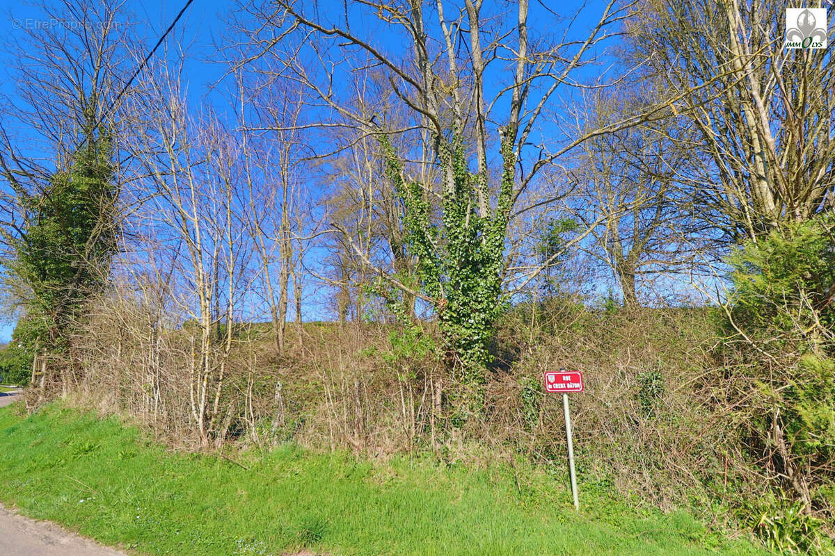 Terrain à AUVILLARS-SUR-SAONE