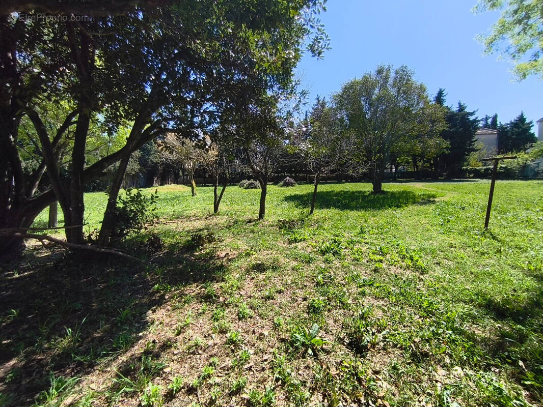 Terrain à ARLES