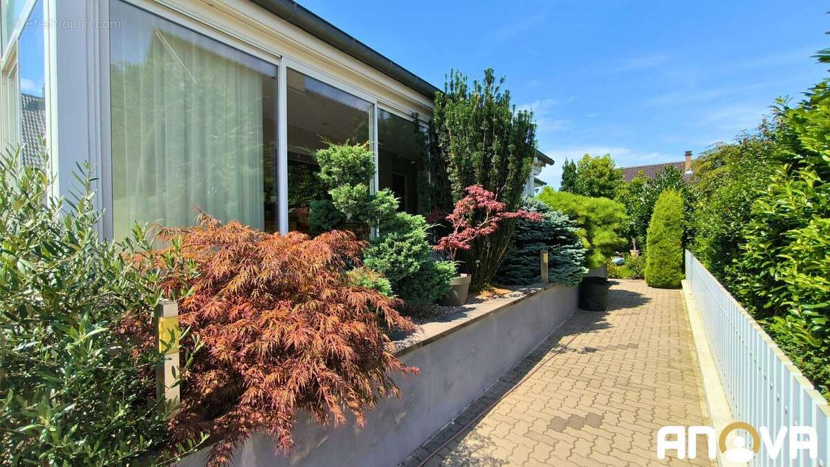 extérieur - Maison à HOENHEIM