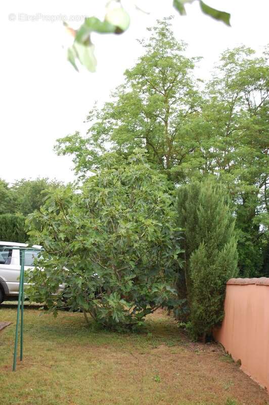 Maison à ATTIGNAT