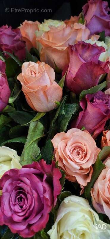 Photo 8 - Commerce à VELIZY-VILLACOUBLAY