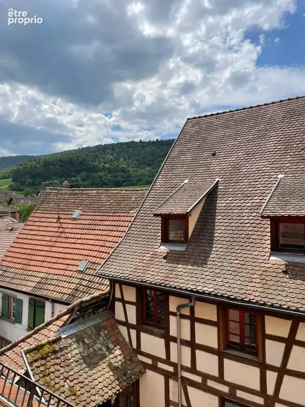 Appartement 2 pièces au cœur de Riquewihr - photo 8