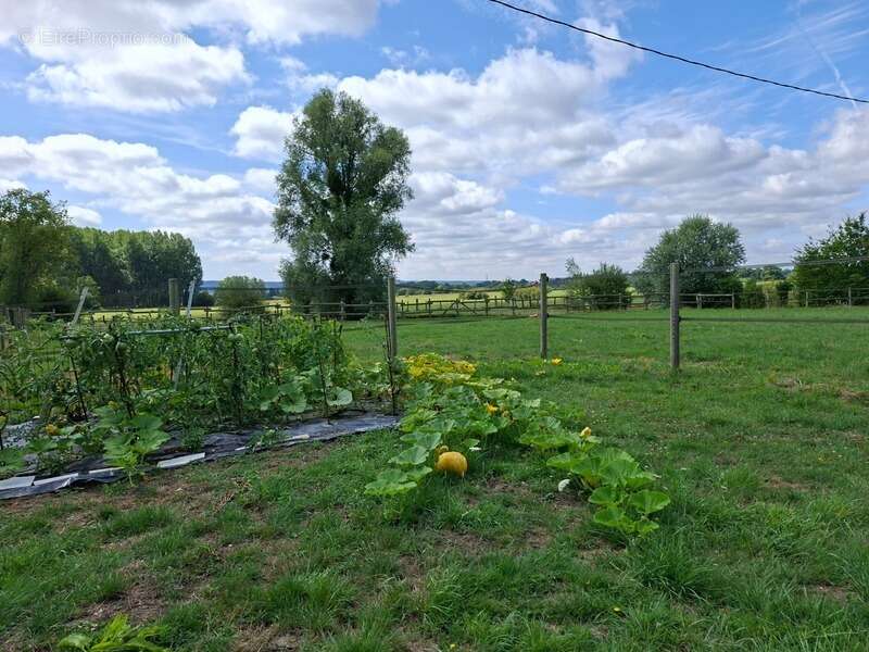 Propriété Corps de Ferme, Bâtisse d'habitation de caractère , nombreuses dependances dont Box, proche ALENCON, LE PERCHE, 2h00 P - photo 10