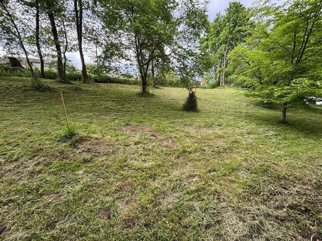 Terrain à NEBOUZAT