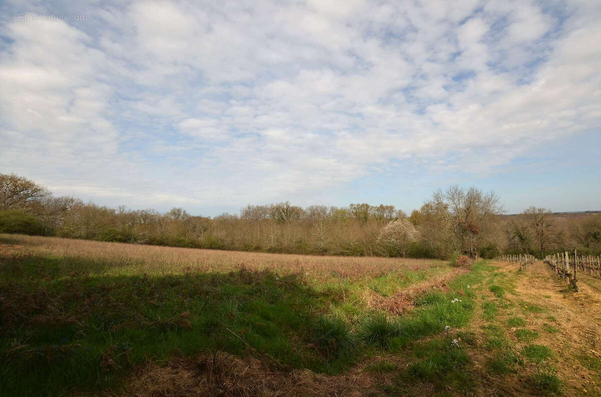 Terrain à MAULICHERES