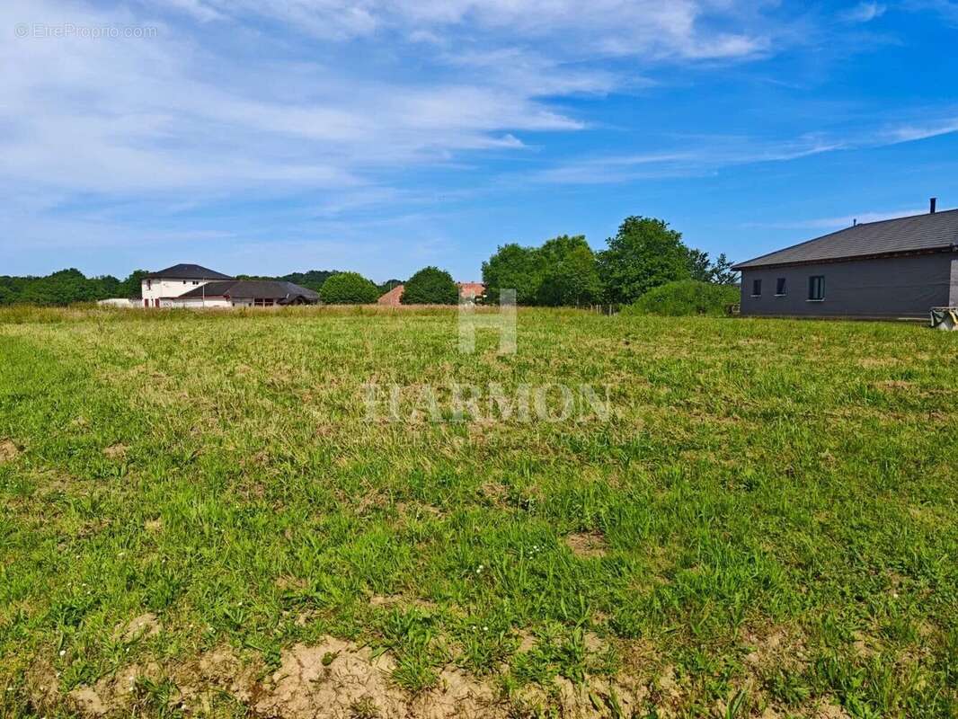 Terrain à LAHOURCADE