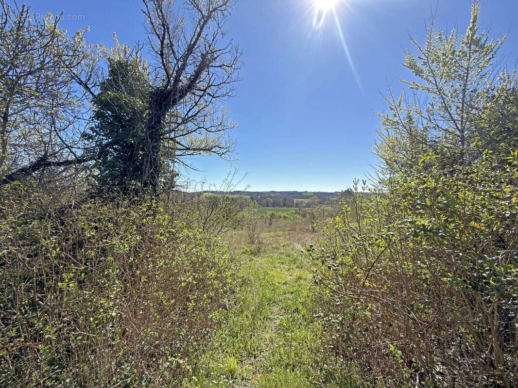Maison à VERTEILLAC