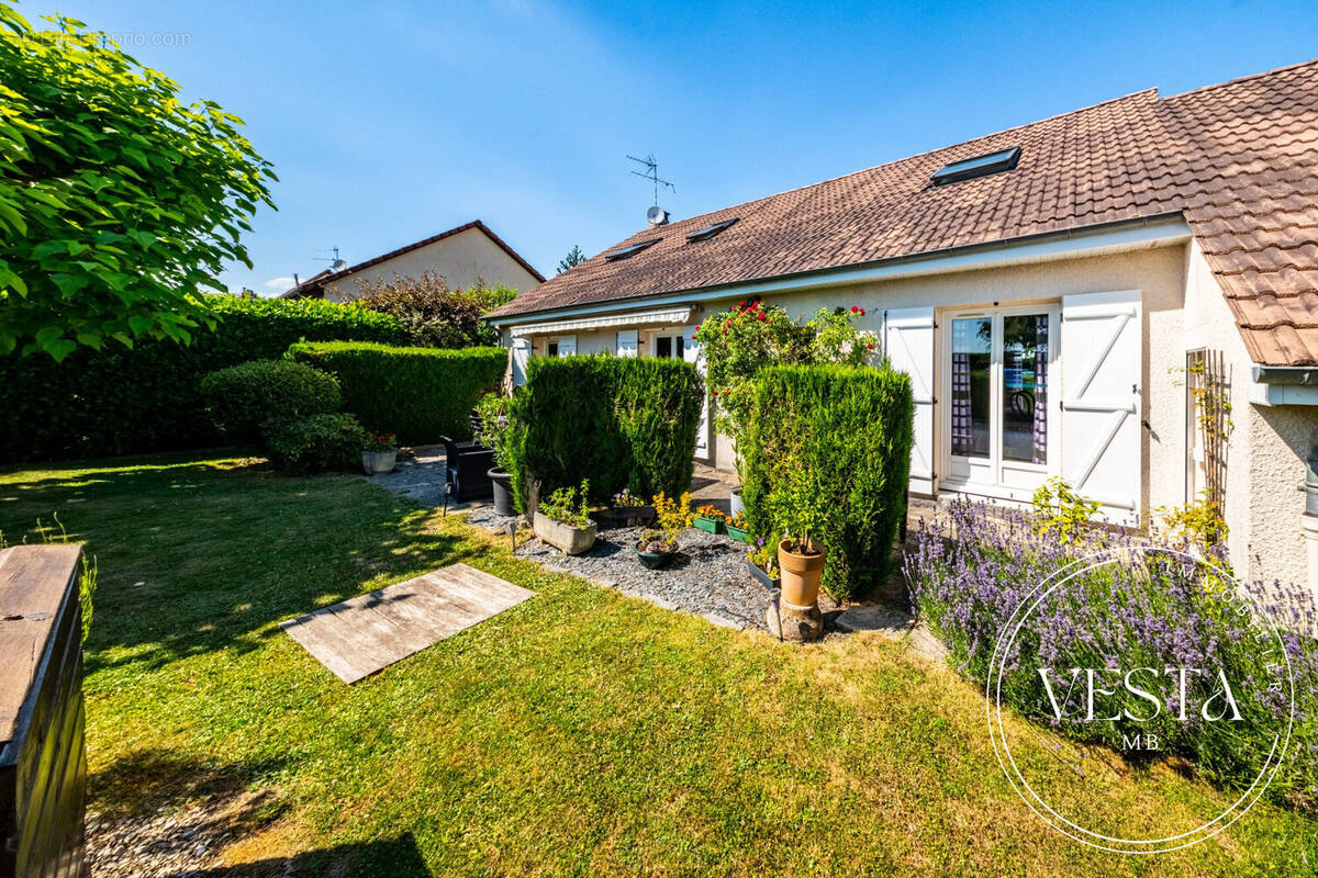 Maison à COUTERNON