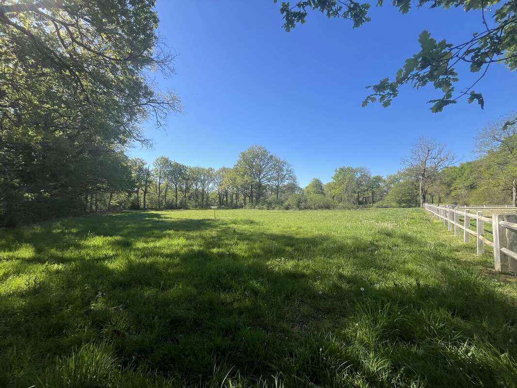 Superbe maison de campagne avec plus de 8 hectares et des boxes à chevaux - photo 19