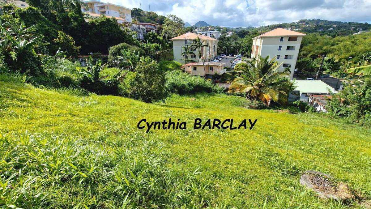 Terrain à FORT-DE-FRANCE