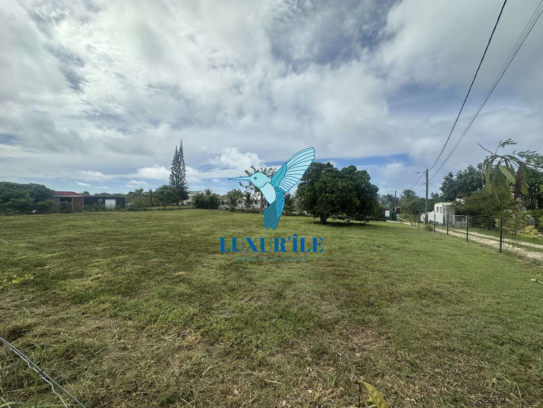 Terrain à SAINT-FRANCOIS