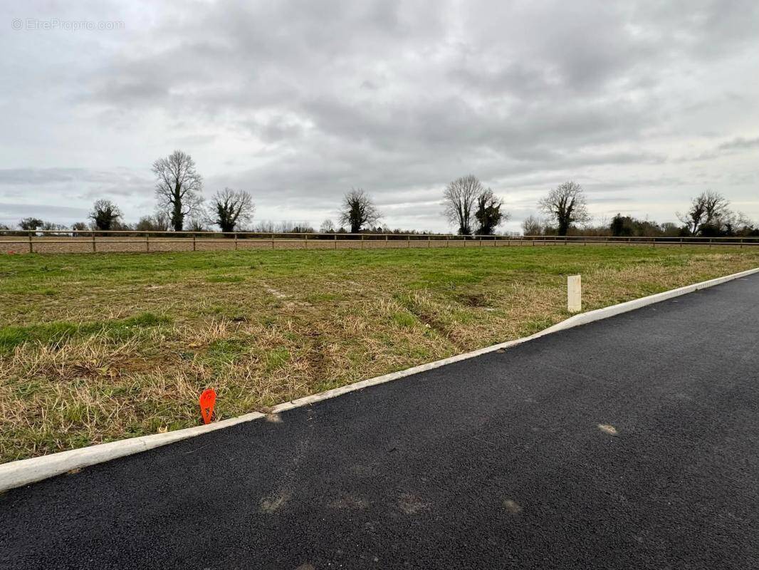 Terrain à CERNAY-LES-REIMS