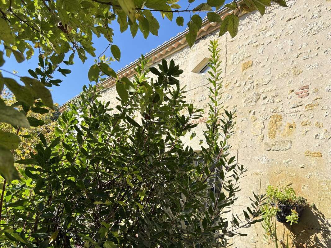 Maison à VENDAYS-MONTALIVET