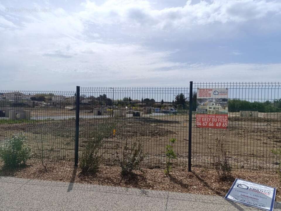 Terrain à SAINT-MATHIEU-DE-TREVIERS