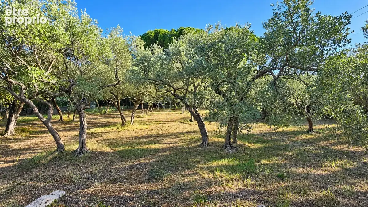 Superbe  villa individuelle de 150 m² traditionnelle sur 2260 m² de terrain clos - photo 3