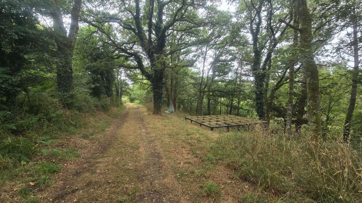 La tranquillité absolue avec un étang d'  un hectare et maison de plain-pied - photo 2