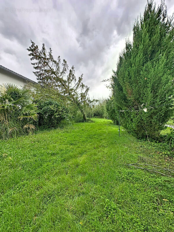 Terrain à ROCHEFORT