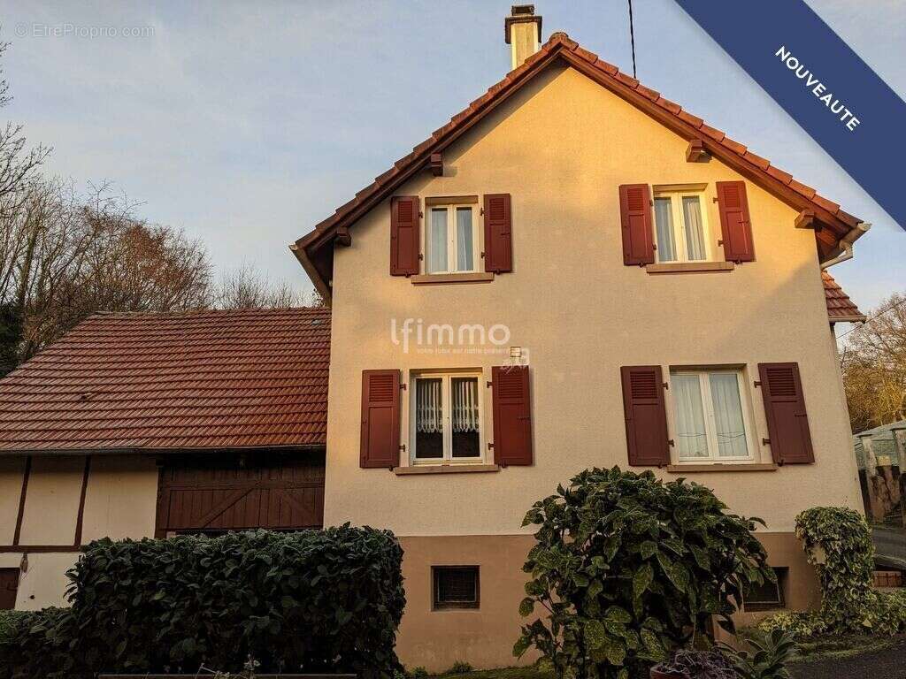 Maison à DRACHENBRONN-BIRLENBACH