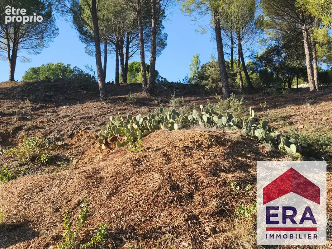 Terrain 734m² à mondragon - photo 2