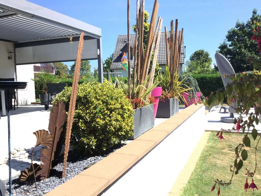 Maison à BALDERSHEIM