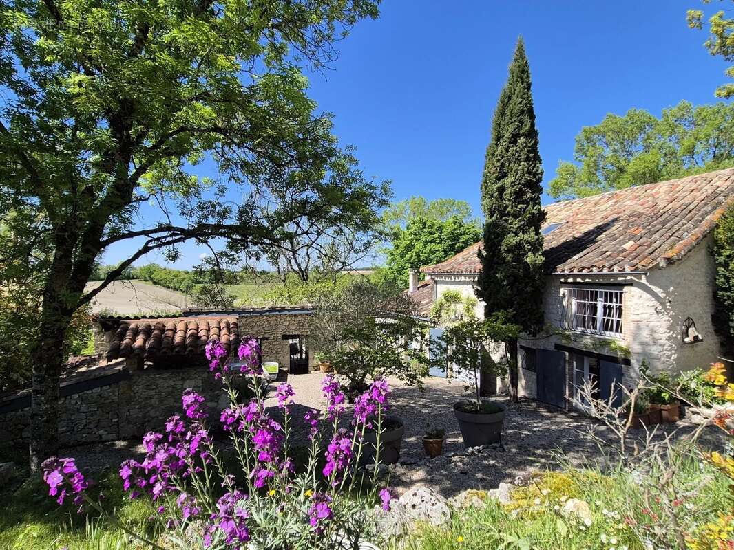 Deux maisons en pierre de caractère avec piscine, dépendances et 1,2 hectare de terrain près de Montaigu-de-Quercy - photo 9
