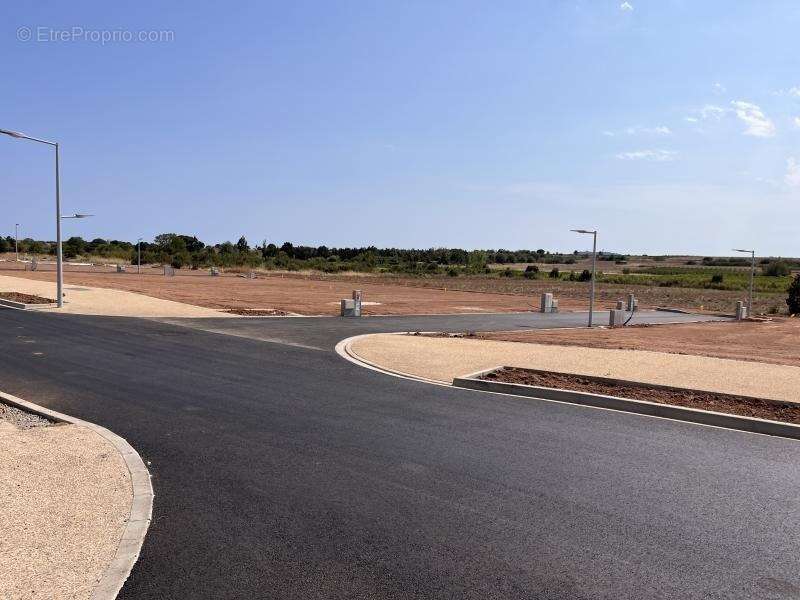 Terrain à MARSEILLAN
