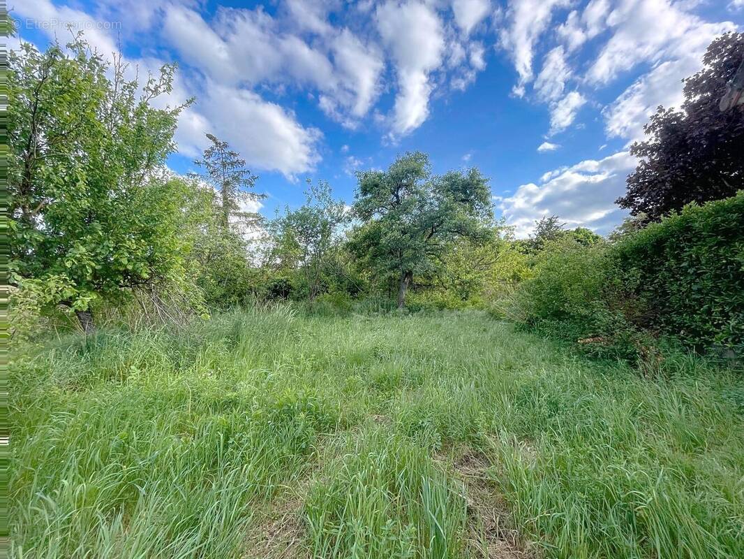 Photo 1 - Terrain à CHAMPIGNY