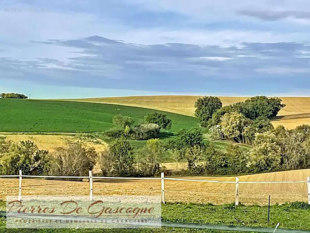 Proche CONDOM - Maison de campagne secteur CASTERA-VERDUZAN sur 10.095m² de terrain. - photo 14