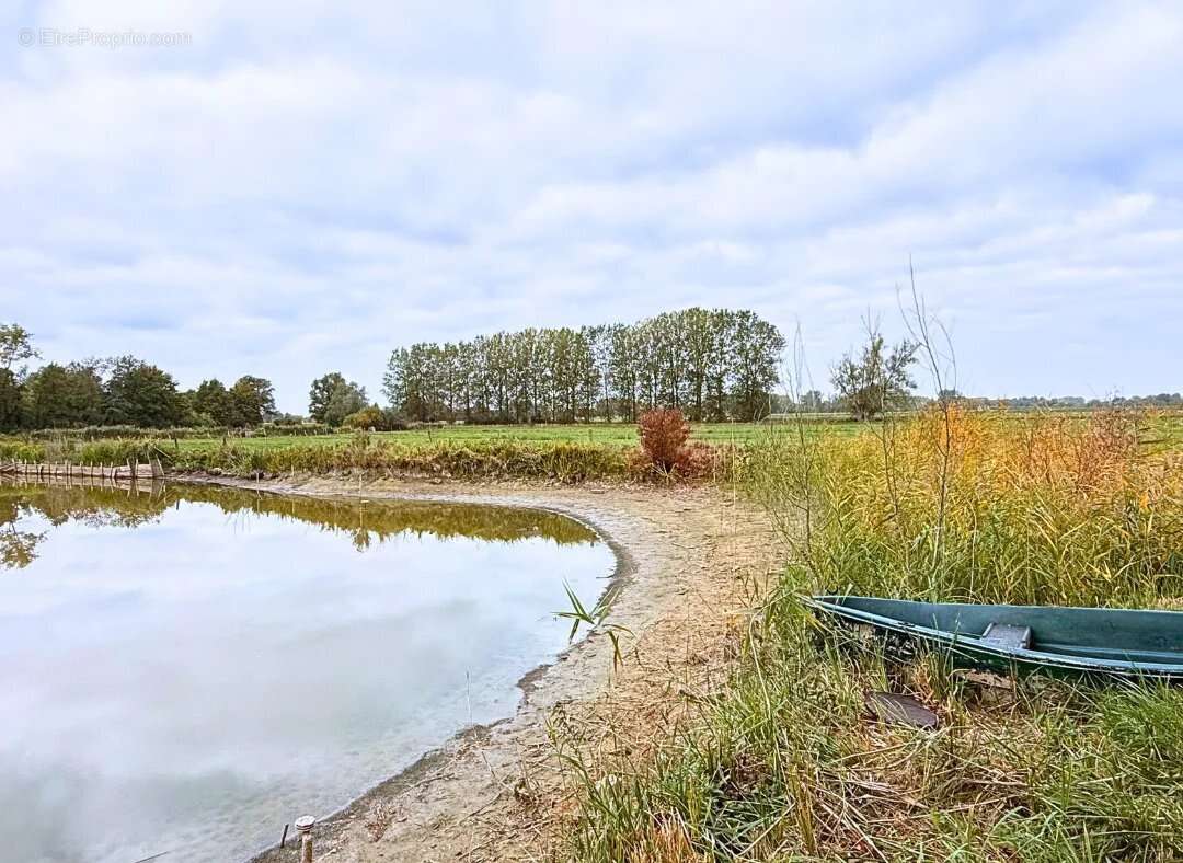 Terrain à WANDIGNIES-HAMAGE
