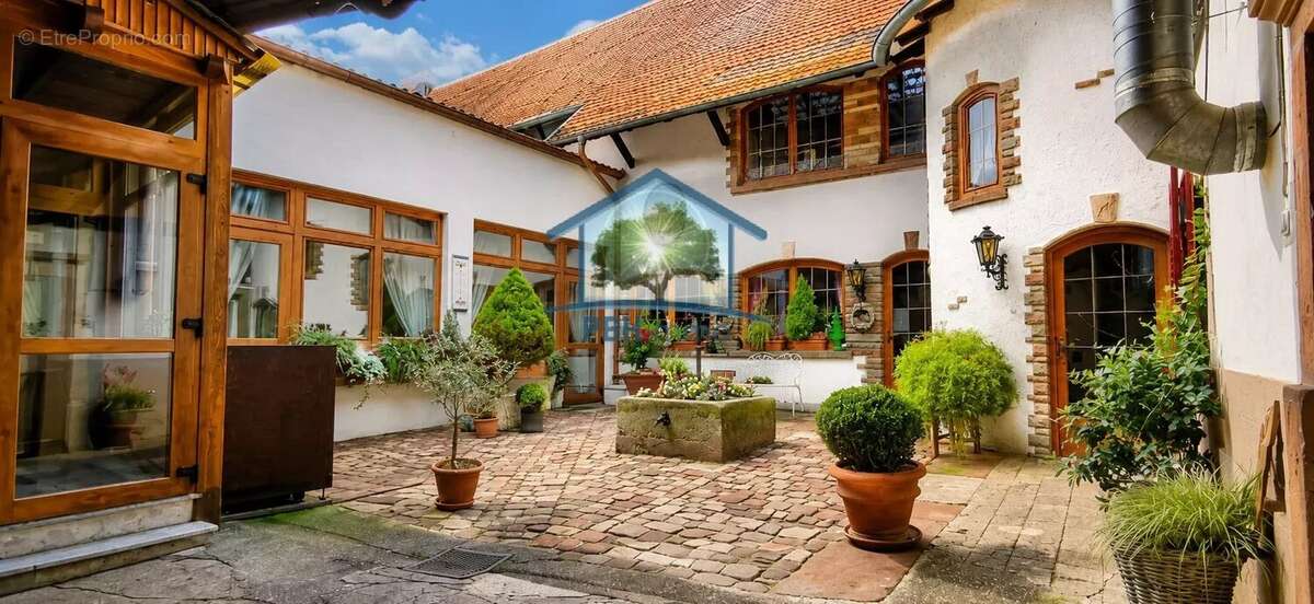 Engwiller (67) - local commercial 414m² et habitation 225m² avec cour intérieure - photo 3