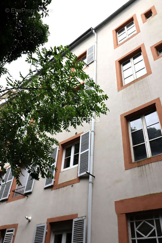 Appartement 416 m² à Strasbourg  - photo 2