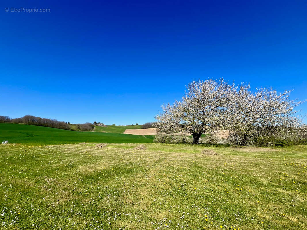 Propriété en pierres avec vue panoramique d'environ 186m2 avec grange de 440 m² et dépendances. Campagne du Lot-et-Garonne. Au c - photo 2