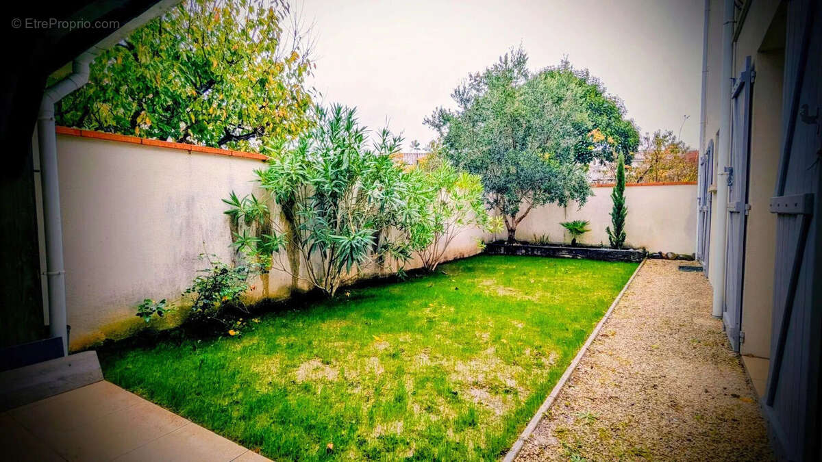 Jardin avec pelouse verte, entouré de murs, contenant des arbres et arbustes, avec un chemin de graviers sur le côté. - Maison à AIGUILLON