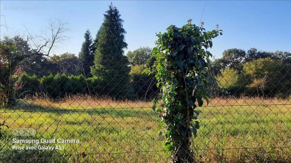 Terrain à CONFOLENS