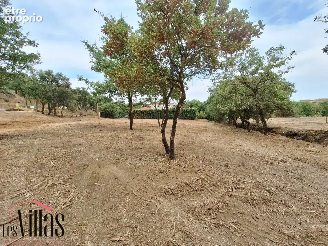 Les albères  terrain constructible 660 m2 villa 4 faces - photo 2